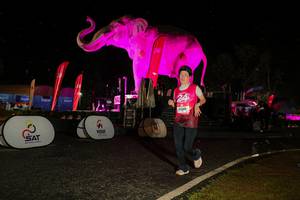 BIB: 
                            <button type="button" onclick="openModal(26534874)" class="btn btn-primary btn-sm float-right btn-popup" data-toggle="modal" data-target=".modal-high-quality">
                        <i class="fas fa-shopping-cart"></i> Add to Cart
                    </button>
                                            <button type="button" onclick="isThisMe(26534874, true)" class="btn btn-success btn-sm float-right btn-popup btn-isme hidden" data-toggle="tooltip" data-placement="bottom" title="นี่คือรูปของคุณใช่ไหม คลิกที่นี่เพื่อเอาเข้าอัลบั้ม">
                        <i class="fas fa-plus"></i> Add to album
                    </button>
                    <button type="button" onclick="isThisMe(26534874, false)" class="btn btn-warning btn-sm float-right btn-popup btn-isnotme hidden">
                        <i class="fas fa-ban"></i> Remove from album
                    </button>